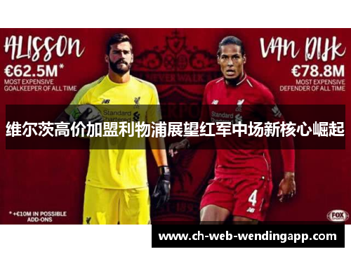 维尔茨高价加盟利物浦展望红军中场新核心崛起